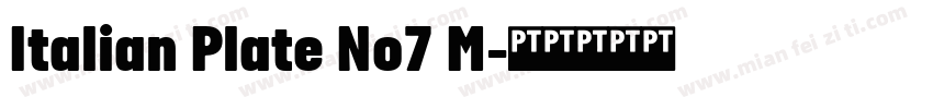 Italian Plate No7 M字体转换